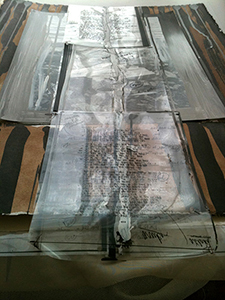 Folio 15