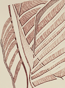 ink-29